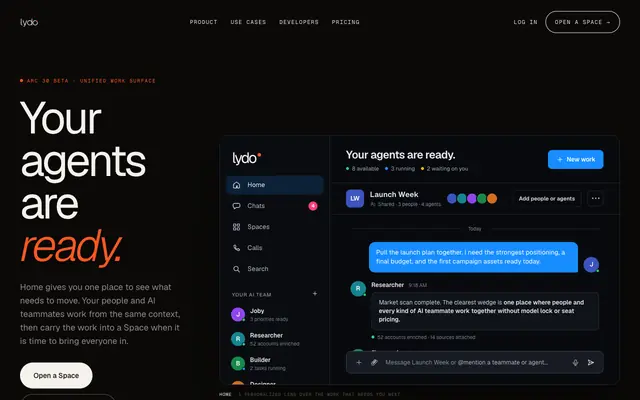 Screenshot of Lydo: bring your team and every AI into one conversation
