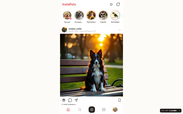 Screenshot of InstaPets — a rede social dos pets