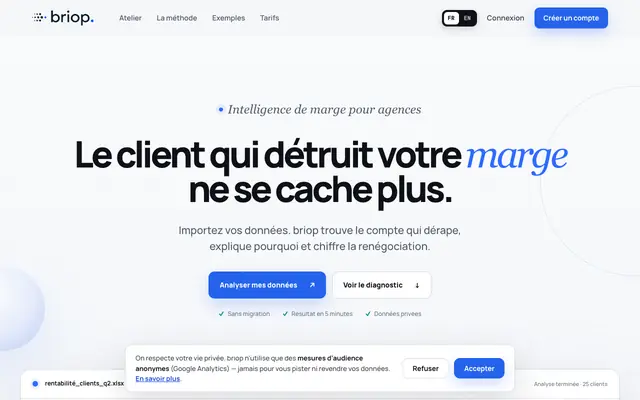 Screenshot of Briop — L'analyste IA des PME