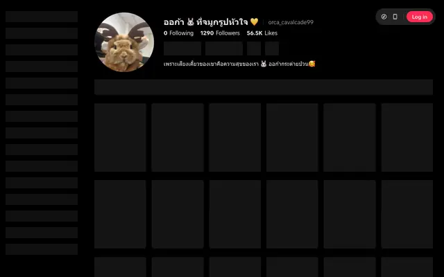 Screenshot of tiktok.com