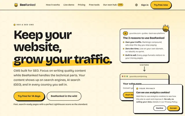 Screenshot of BeeRanked | Grow your traffic, keep your site