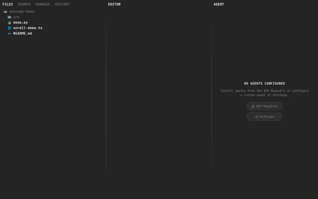 Screenshot of Anycode