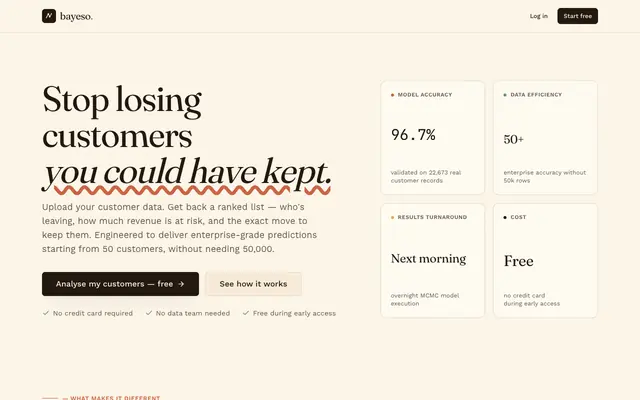 Screenshot of Bayeso — Stop losing customers you could have kept