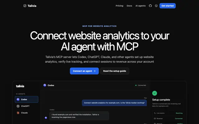 Screenshot of Website Analytics MCP Server for ChatGPT, Claude and Codex - Talivia