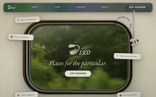 Screenshot of disco