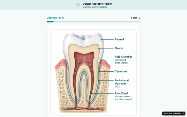 Screenshot of Dental Anatomy Helper by Athina