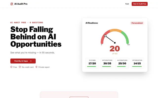 Screenshot of AI Audit Pro