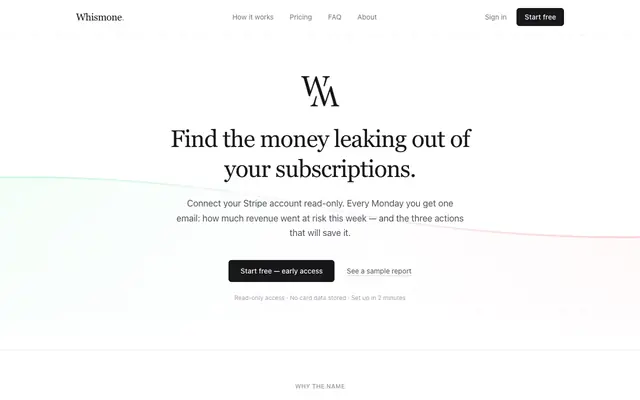 Screenshot of Whismone — revenue leak detector