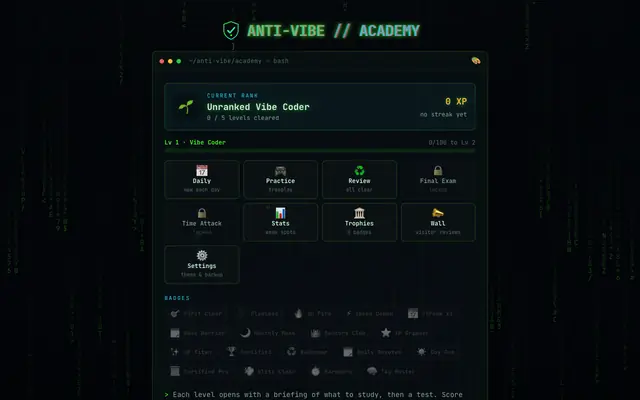 Screenshot of The Anti-Vibe Academy