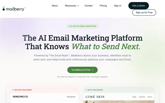 Screenshot of Mailberry: The AI Email Marketing Platform That Thinks, Learns & Creates for You