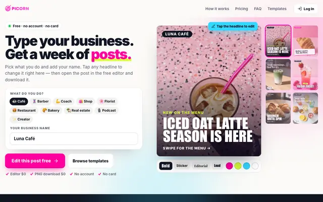 Screenshot of Picorn — From idea to campaign in minutes