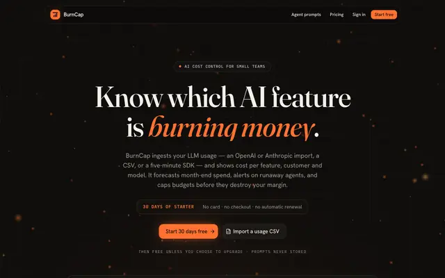 Screenshot of BurnCap - Stop AI costs before they surprise you