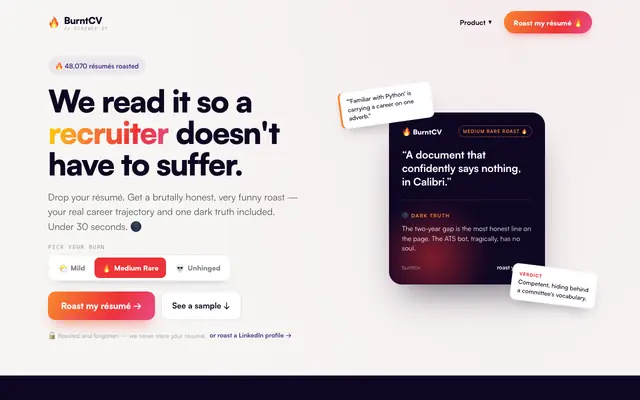 Screenshot of BurntCV — get your résumé roasted 🔥