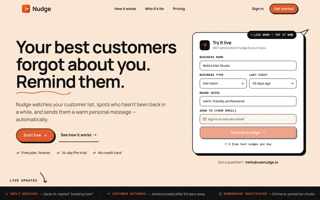 Screenshot of Nudge - Bring back your lost customers, automatically.
