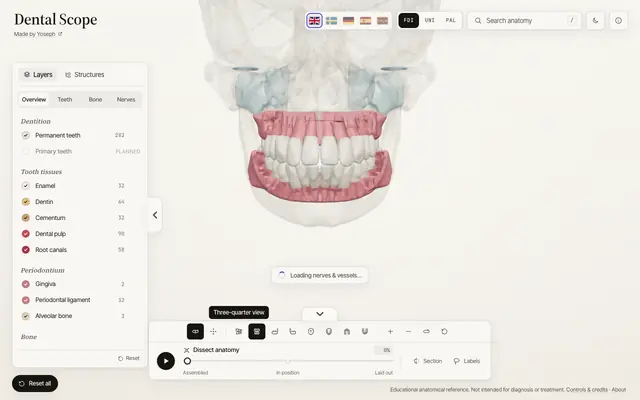 Screenshot of Dental Scope – Interactive 3D dental anatomy
