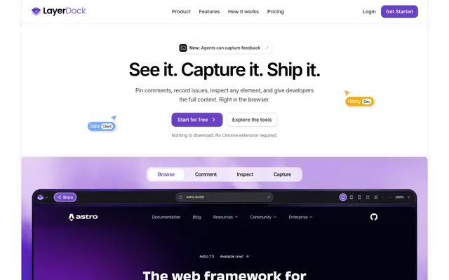 Screenshot of LayerDock | Website Feedback Tool for Teams and Clients