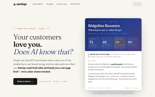 Screenshot of Sentiqo — What your customers say. What AI says back.