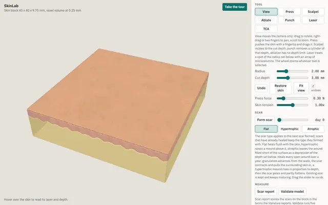 Screenshot of SkinLab
