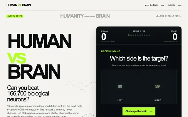Screenshot of Human vs Brain — 166,700-Neuron Fruit Fly Connectome Game