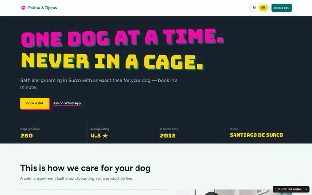Screenshot of Patitas & Tijeras · Peluquería canina de confianza en Surco