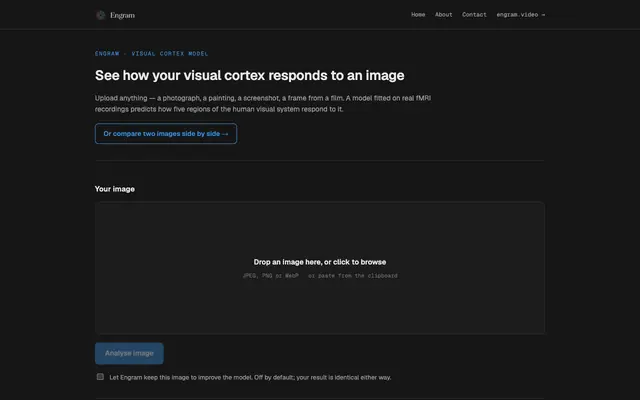 Screenshot of Engram — See how your visual cortex responds to an image