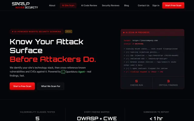 Screenshot of AI Site Scan | StartupHakk Security