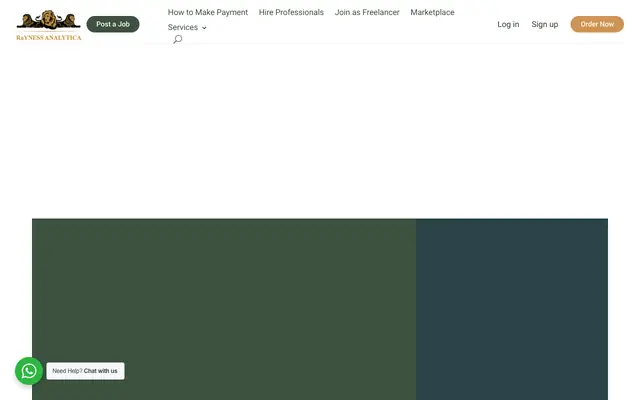 Screenshot of RaYNESS ANALYTICA | Professional Services Marketplace