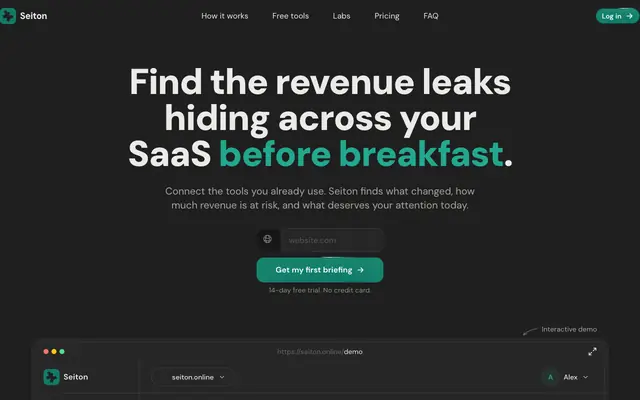 Screenshot of Seiton — Find the revenue leaks before breakfast