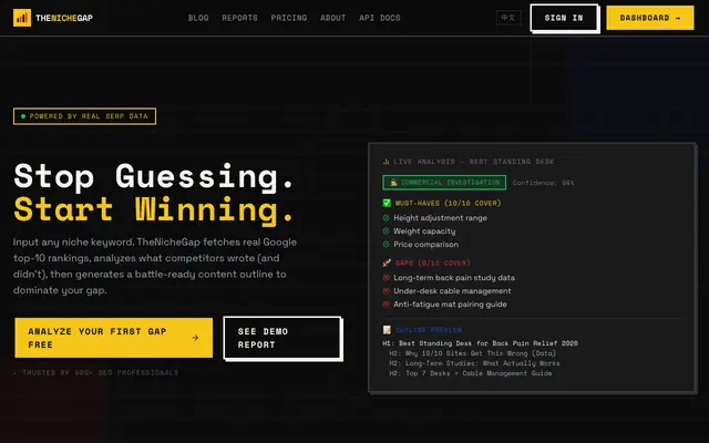 Screenshot of TheNicheGap — SEO Content Gap Analyzer