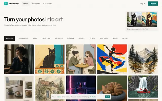 Screenshot of Turn your photos into art | Peelaway