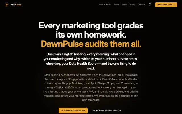 Screenshot of DawnPulse — Plain-English Marketing Analytics & Daily Reporting