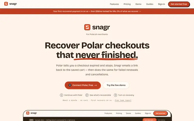 Screenshot of Snagr - Abandoned checkout recovery for Polar.sh