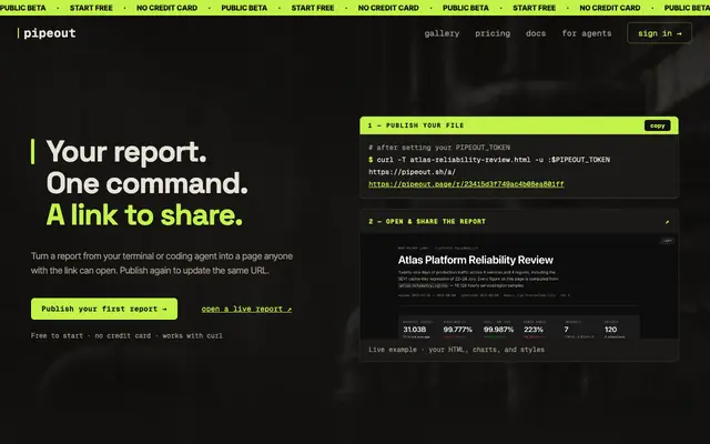 Screenshot of pipeout · Agentic reports made convenient