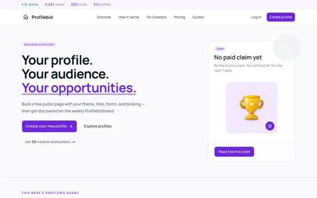 Screenshot of Profilebid