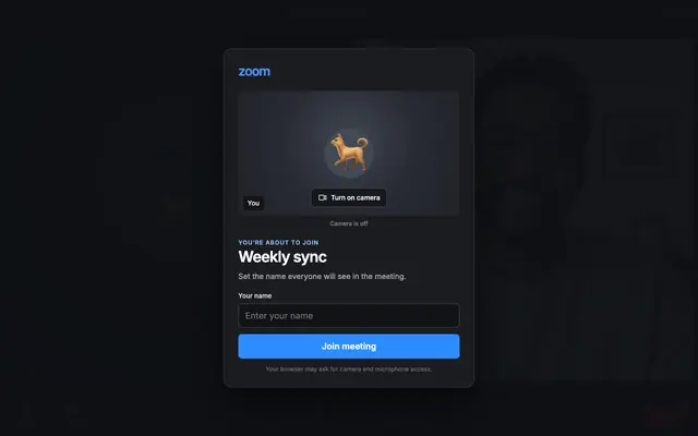 Screenshot of Fake Zoom