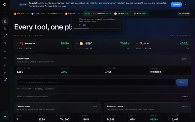 Screenshot of Alpha Wallet Finder: top memecoin traders by PNL