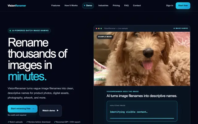 Screenshot of AI Batch Image Renaming